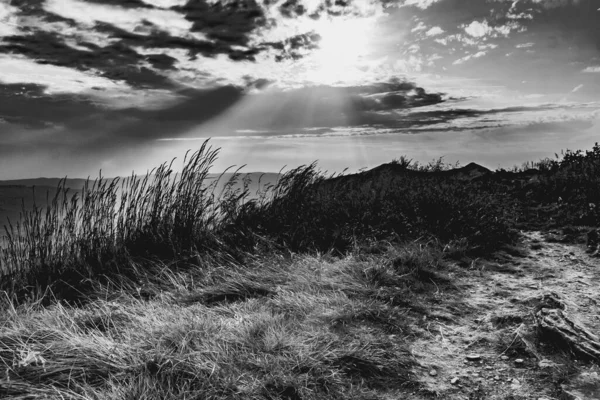 Polonya 'daki Bieszczady Dağlarında Wetlinska Polonyna