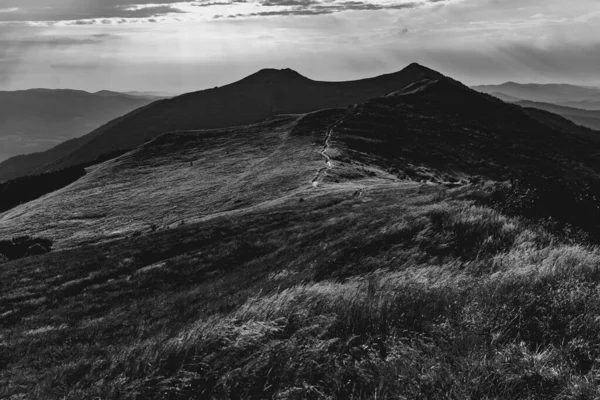 Polonya 'daki Bieszczady Dağlarında Wetlinska Polonyna