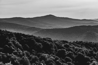 Polonya 'nın Bieszczady Dağlarındaki Dwernik Kamie Tepesinden görüntü