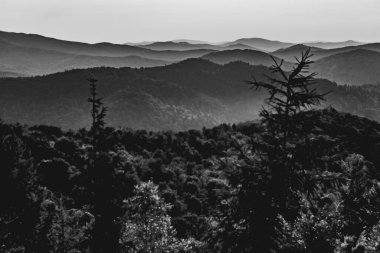 Polonya 'nın Bieszczady Dağlarındaki Dwernik Kamie Tepesinden görüntü