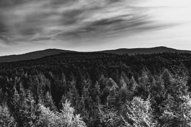 Polonya 'nın Bieszczady Dağlarındaki Dwernik Kamie Tepesinden görüntü