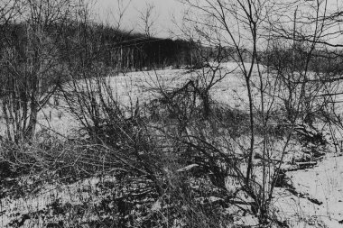 Polonya 'daki Bieszczady Dağları' ndaki Carynskie Vadisi