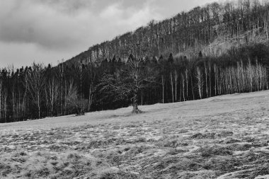 Polonya 'daki Bieszczady Dağları' ndaki Carynskie Vadisi