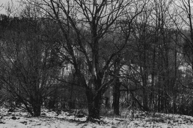 Polonya 'daki Bieszczady Dağları' ndaki Carynskie Vadisi