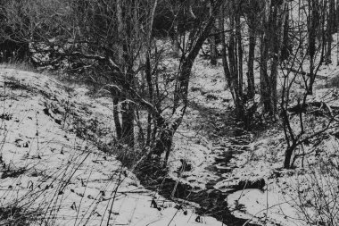 Polonya 'daki Bieszczady Dağları' ndaki Carynskie Vadisi