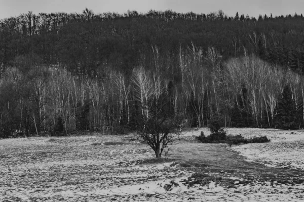 Vale Carynskie Nas Montanhas Bieszczady Polônia — Fotografia de Stock