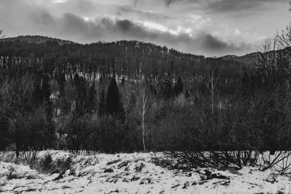 Carynskie Valley Het Bieszczady Gebergte Polen — Stockfoto