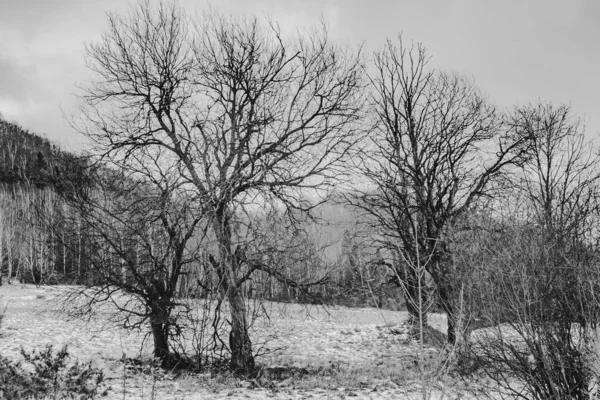 Carynskie Valley Het Bieszczady Gebergte Polen — Stockfoto