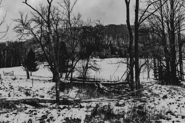 Carynskie Valley Het Bieszczady Gebergte Polen — Stockfoto