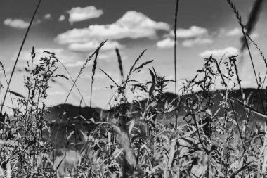  San Nehri 'ndeki Kryve - Bieszczady Dağları' ndaki eski bir köy - 1947 yılında komünist Polonyalı yetkililer tarafından yerlerinden edildi..