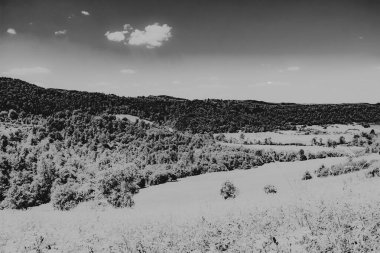  San Nehri 'ndeki Kryve - Bieszczady Dağları' ndaki eski bir köy - 1947 yılında komünist Polonyalı yetkililer tarafından yerlerinden edildi..