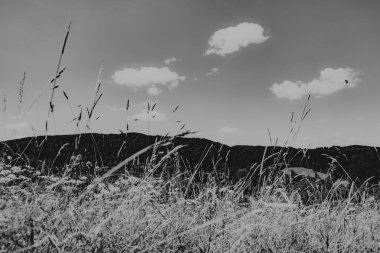  San Nehri 'ndeki Kryve - Bieszczady Dağları' ndaki eski bir köy - 1947 yılında komünist Polonyalı yetkililer tarafından yerlerinden edildi..