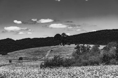  San Nehri 'ndeki Kryve - Bieszczady Dağları' ndaki eski bir köy - 1947 yılında komünist Polonyalı yetkililer tarafından yerlerinden edildi..