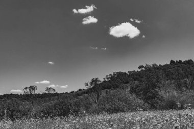  San Nehri 'ndeki Kryve - Bieszczady Dağları' ndaki eski bir köy - 1947 yılında komünist Polonyalı yetkililer tarafından yerlerinden edildi..