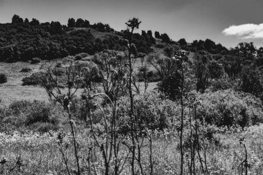  San Nehri 'ndeki Kryve - Bieszczady Dağları' ndaki eski bir köy - 1947 yılında komünist Polonyalı yetkililer tarafından yerlerinden edildi..