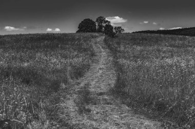  San Nehri 'ndeki Kryve - Bieszczady Dağları' ndaki eski bir köy - 1947 yılında komünist Polonyalı yetkililer tarafından yerlerinden edildi..