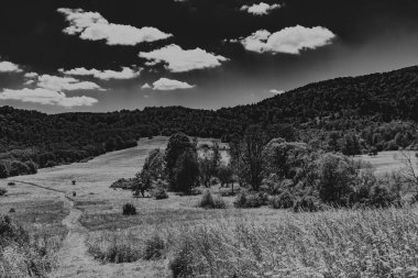  San Nehri 'ndeki Kryve - Bieszczady Dağları' ndaki eski bir köy - 1947 yılında komünist Polonyalı yetkililer tarafından yerlerinden edildi..