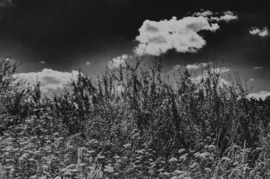  San Nehri 'ndeki Kryve - Bieszczady Dağları' ndaki eski bir köy - 1947 yılında komünist Polonyalı yetkililer tarafından yerlerinden edildi..