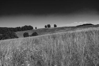  San Nehri 'ndeki Kryve - Bieszczady Dağları' ndaki eski bir köy - 1947 yılında komünist Polonyalı yetkililer tarafından yerlerinden edildi..