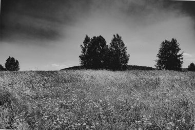  San Nehri 'ndeki Kryve - Bieszczady Dağları' ndaki eski bir köy - 1947 yılında komünist Polonyalı yetkililer tarafından yerlerinden edildi..