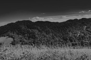 San Nehri 'ndeki Kryve - Bieszczady Dağları' ndaki eski bir köy - 1947 yılında komünist Polonyalı yetkililer tarafından yerlerinden edildi..