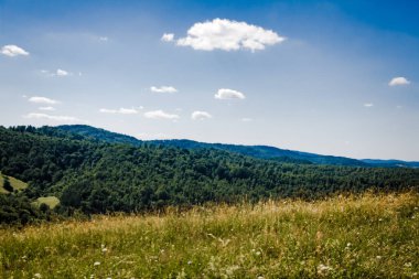  San Nehri 'ndeki Kryve - Bieszczady Dağları' ndaki eski bir köy - 1947 yılında komünist Polonyalı yetkililer tarafından yerlerinden edildi..