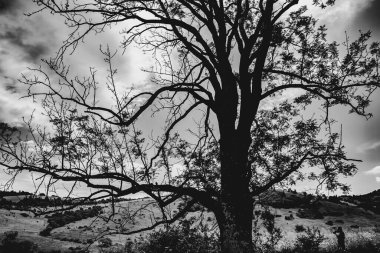  San Nehri 'ndeki Kryve - Bieszczady Dağları' ndaki eski bir köy - 1947 yılında komünist Polonyalı yetkililer tarafından yerlerinden edildi..