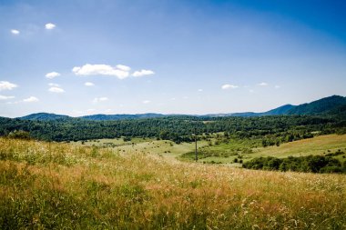  San Nehri 'ndeki Kryve - Bieszczady Dağları' ndaki eski bir köy - 1947 yılında komünist Polonyalı yetkililer tarafından yerlerinden edildi..
