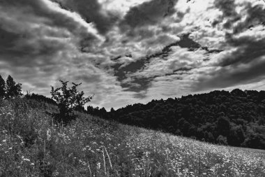  San Nehri 'ndeki Kryve - Bieszczady Dağları' ndaki eski bir köy - 1947 yılında komünist Polonyalı yetkililer tarafından yerlerinden edildi..