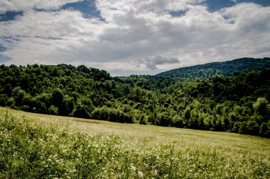  San Nehri 'ndeki Kryve - Bieszczady Dağları' ndaki eski bir köy - 1947 yılında komünist Polonyalı yetkililer tarafından yerlerinden edildi..