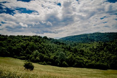  San Nehri 'ndeki Kryve - Bieszczady Dağları' ndaki eski bir köy - 1947 yılında komünist Polonyalı yetkililer tarafından yerlerinden edildi..