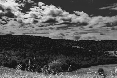  San Nehri 'ndeki Kryve - Bieszczady Dağları' ndaki eski bir köy - 1947 yılında komünist Polonyalı yetkililer tarafından yerlerinden edildi..