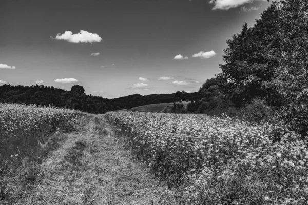 Kryve Rio San Uma Antiga Aldeia Nas Montanhas Bieszczady Seus — Fotografia de Stock