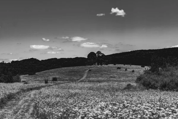 Kryve Rio San Uma Antiga Aldeia Nas Montanhas Bieszczady Seus — Fotografia de Stock