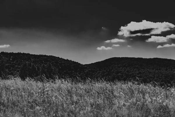 Kryve Río San Una Antigua Aldea Las Montañas Bieszczady Sus —  Fotos de Stock