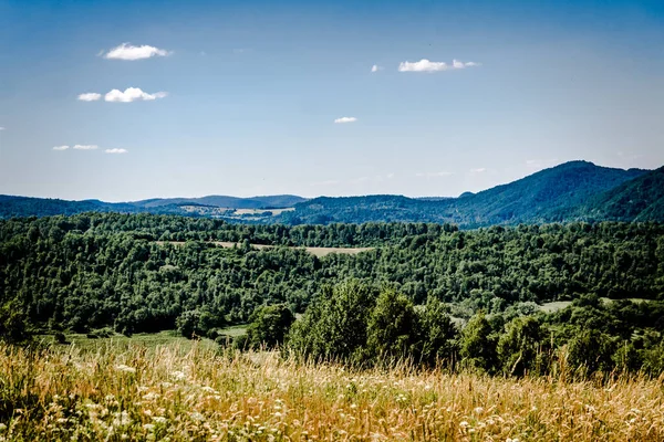 Kryve Fluss San Ein Ehemaliges Dorf Bieszczady Gebirge Seine Einwohner — Stockfoto