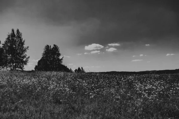 Kryve San Folyón Egy Korábbi Falu Bieszczady Hegységben Lakóit 1947 — Stock Fotó