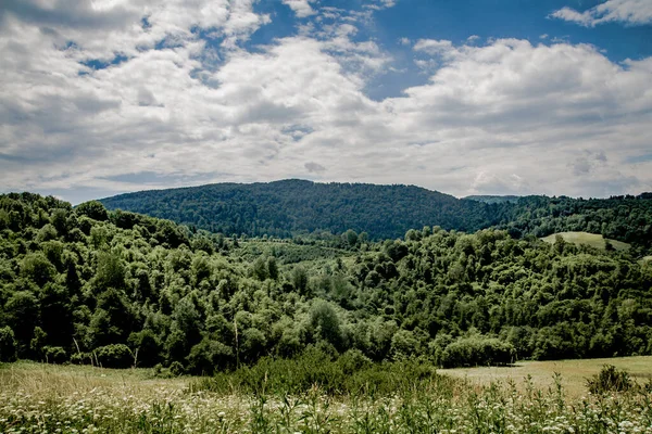 Kryve Fluss San Ein Ehemaliges Dorf Bieszczady Gebirge Seine Einwohner — Stockfoto