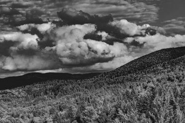 Bieszczady Dağları 'ndaki Cisna yakınlarındaki Szczerbanwka gözlem kulesinden görüntü