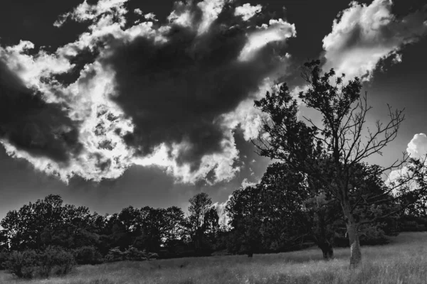 Údolí Lopienka Pohoří Bieszczady Polsku — Stock fotografie