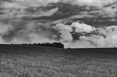 Polonya 'daki Bieszczady Dağları' ndaki Oslawa Nehri 'nde Smolnik.