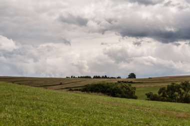 Polonya 'daki Bieszczady Dağları' ndaki Oslawa Nehri 'nde Smolnik.