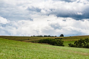 Polonya 'daki Bieszczady Dağları' ndaki Oslawa Nehri 'nde Smolnik.