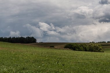 Polonya 'daki Bieszczady Dağları' ndaki Oslawa Nehri 'nde Smolnik.