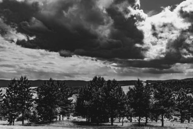 Polonya 'daki Bieszczady Dağları' ndaki Oslawa Nehri 'nde Smolnik.