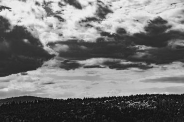 Polonya 'daki Bieszczady Dağları' ndaki Oslawa Nehri 'nde Smolnik.