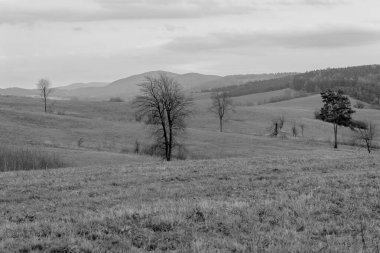 Polonya 'daki Bieszczady Dağları' ndaki Oslawa Nehri 'nde Smolnik.