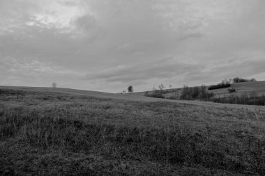 Polonya 'daki Bieszczady Dağları' ndaki Oslawa Nehri 'nde Smolnik.