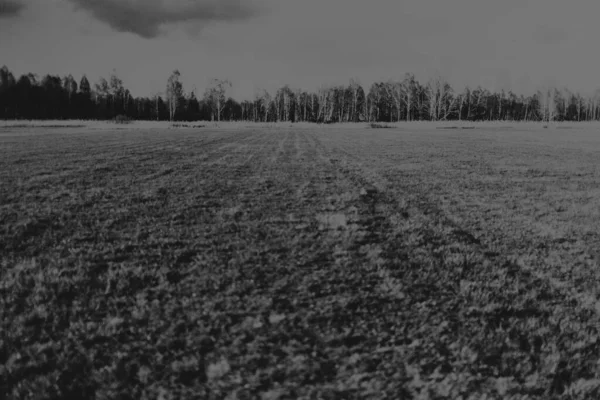 Paesaggio Delle Paludi Biebrza Podlasie Polonia — Foto Stock