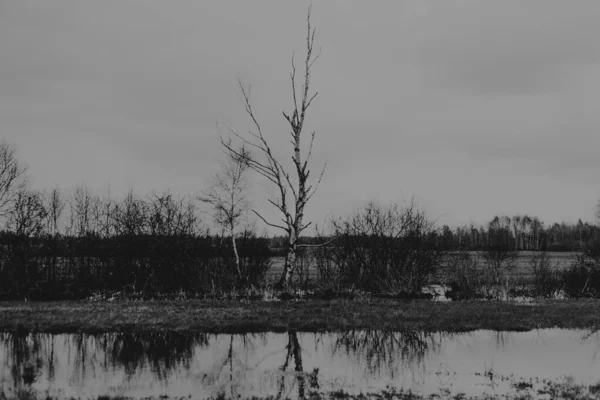 ポーランドのポドラシーにあるBiebrza湿地の風景 — ストック写真